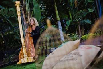 IV Cata Solidaria de Vinoteca San Juan (Foto TA)